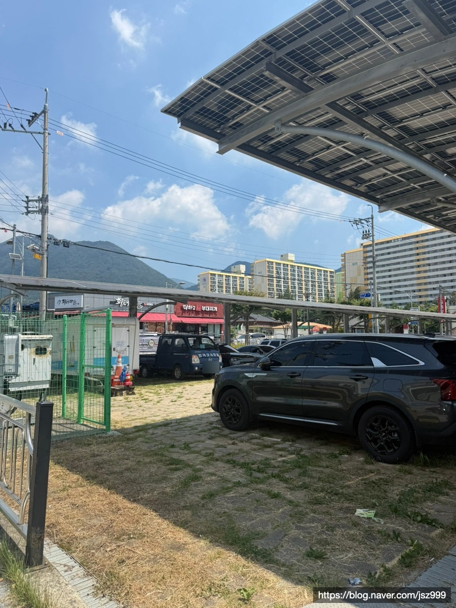미작 사진 4