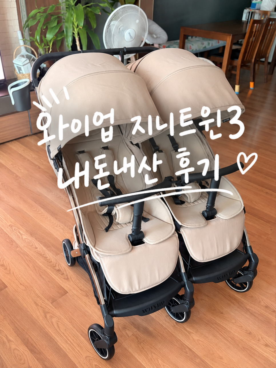쌍둥이 사진 1