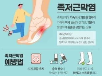 족저근막염 운동화 추천 4대 브랜드 완벽 비교! (호카·아식스·나이키·스케쳐스) 발바닥 통....