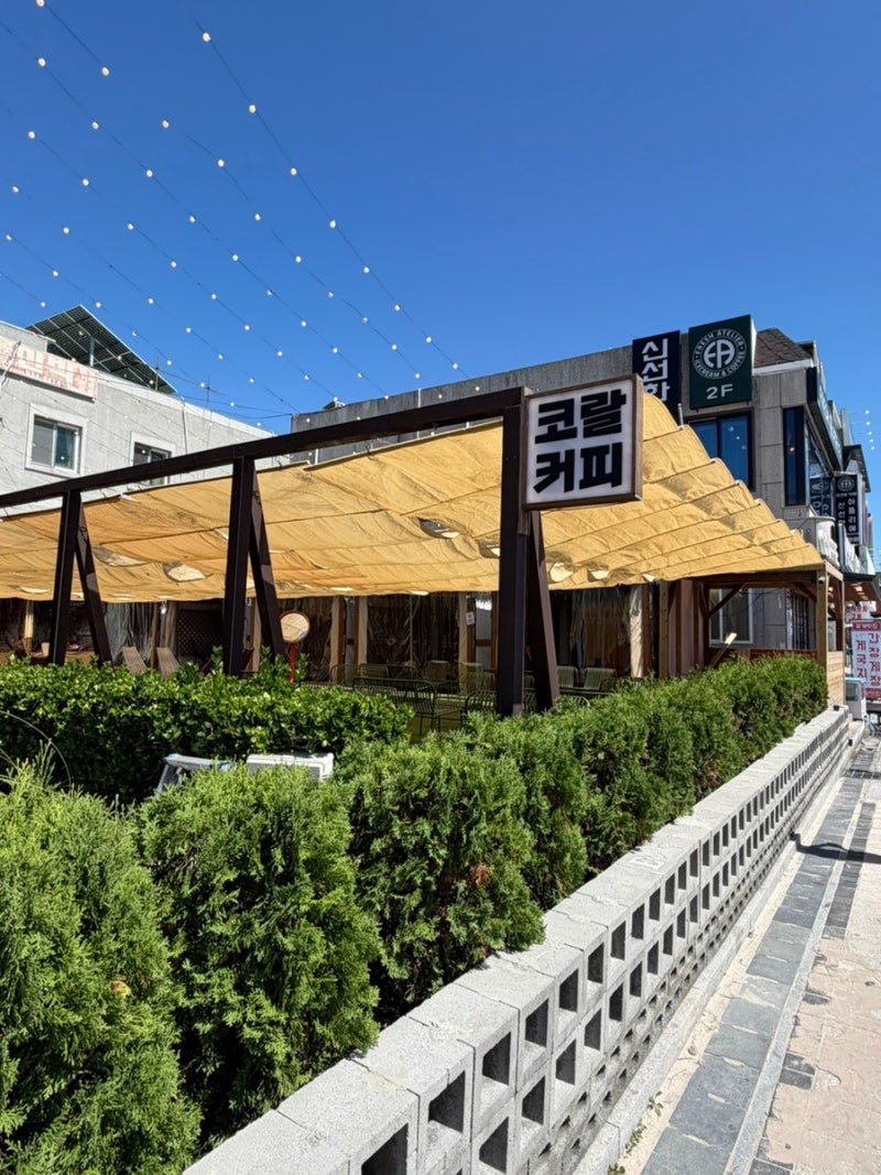 대천 코랄커피 대천 애견동반 카페 추천