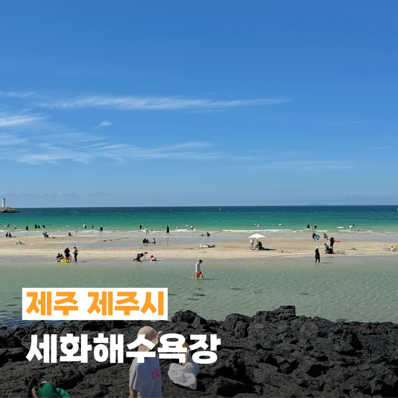 제주도 동쪽 바다 스노클링 명소 아기랑 가기 좋은 세화해수욕장 샤워 물때