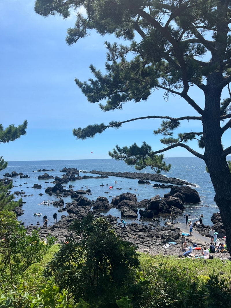 Jeju Dorippal: Recommended Snorkeling Spot in Jungmun Sea (Parking, Showers, Rentals, Restrooms)