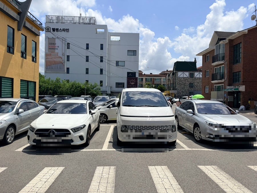 일산칼국수 본점 사진 2