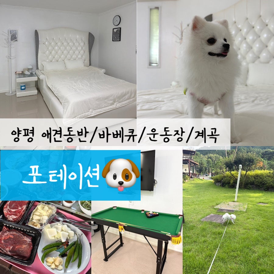 포테이션 사진 1