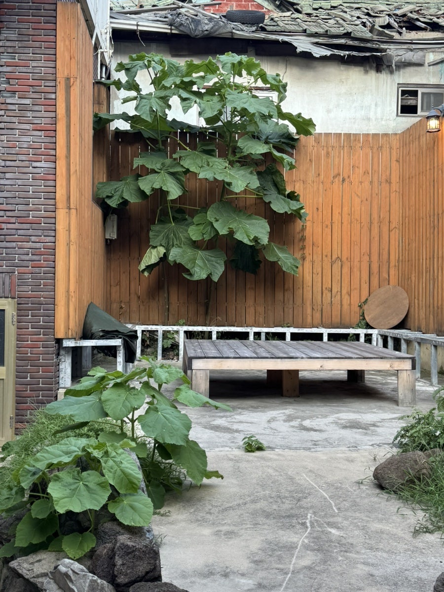 알티티 사진 3