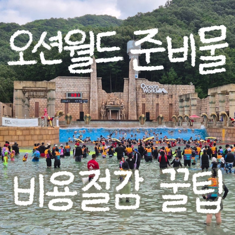 오션월드 준비물 , 필수 준비물 , 야외 라커 , 구명조끼 , 식사 , 간식