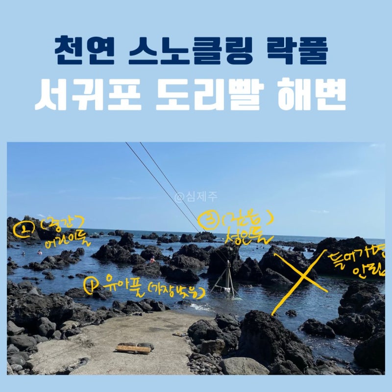제주 도리빨해변 스노클링 성지 수심 물때 주차 샤워장 및 특별히 주의할 점 총정리