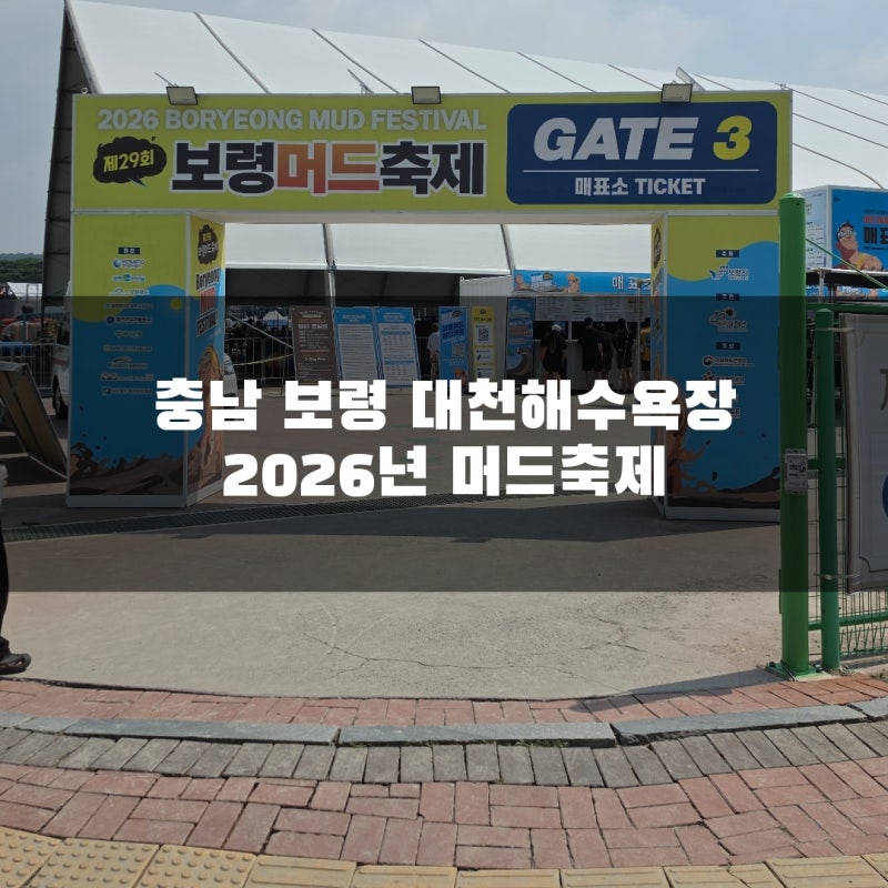 충남 아이랑 가볼만한곳, 8월 축제정보, 국내여행추천 / 충남 보령 대천해수욕장 2026년 머드....