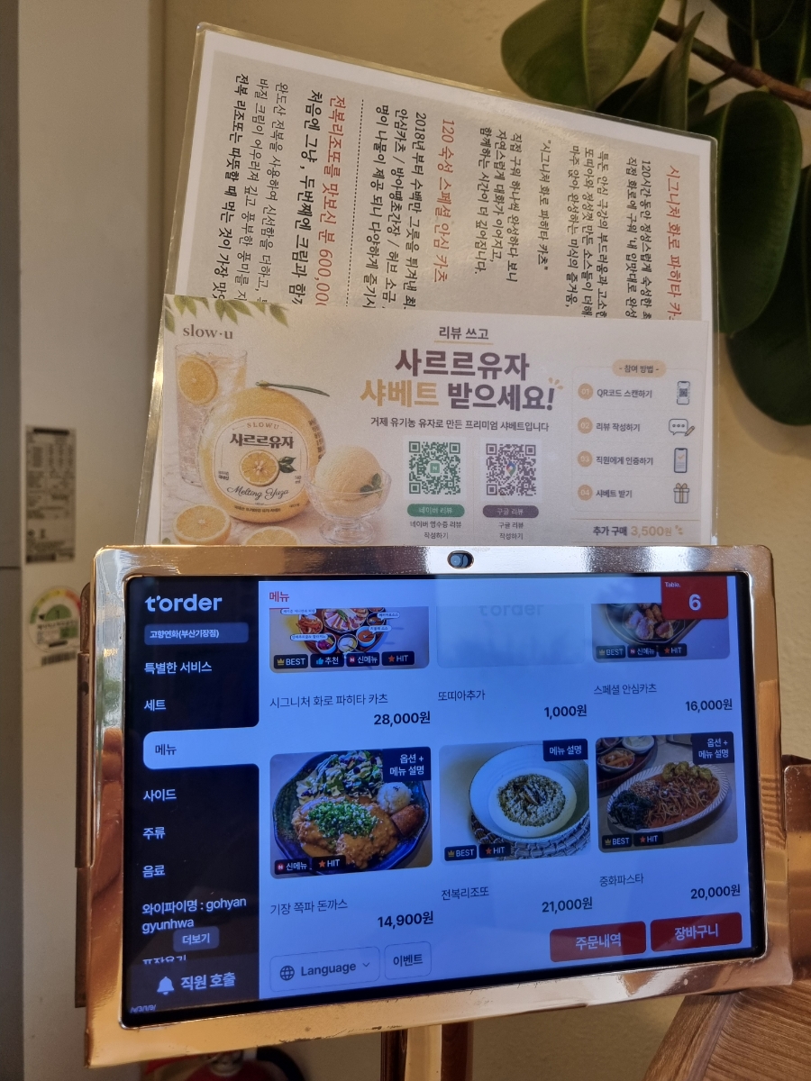 고향연화 사진 5
