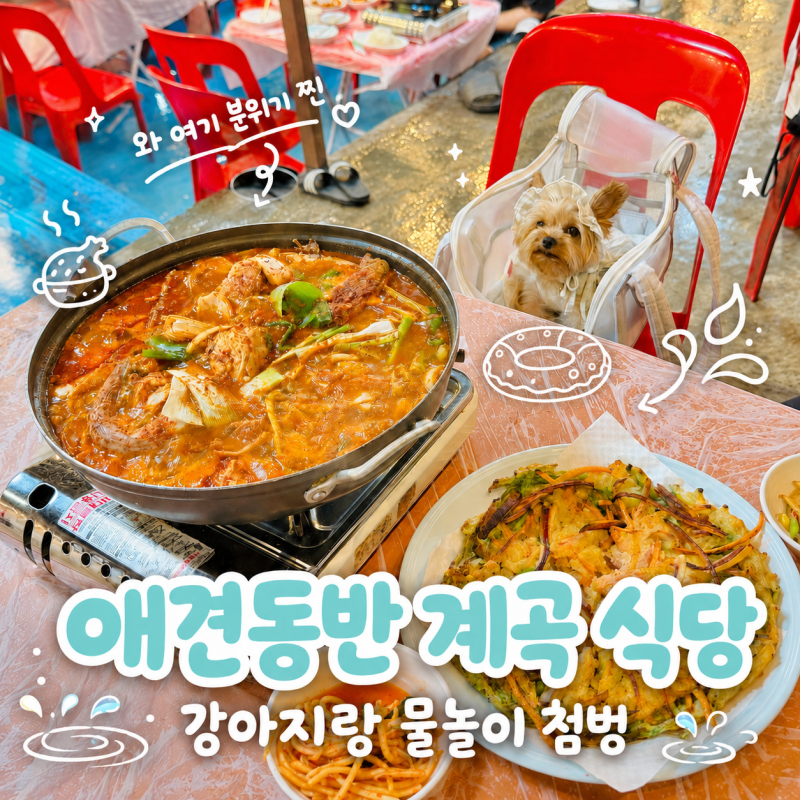 서울 근교 애견동반 계곡 식당 안양 폭포수 식당 강아지 물놀이까지