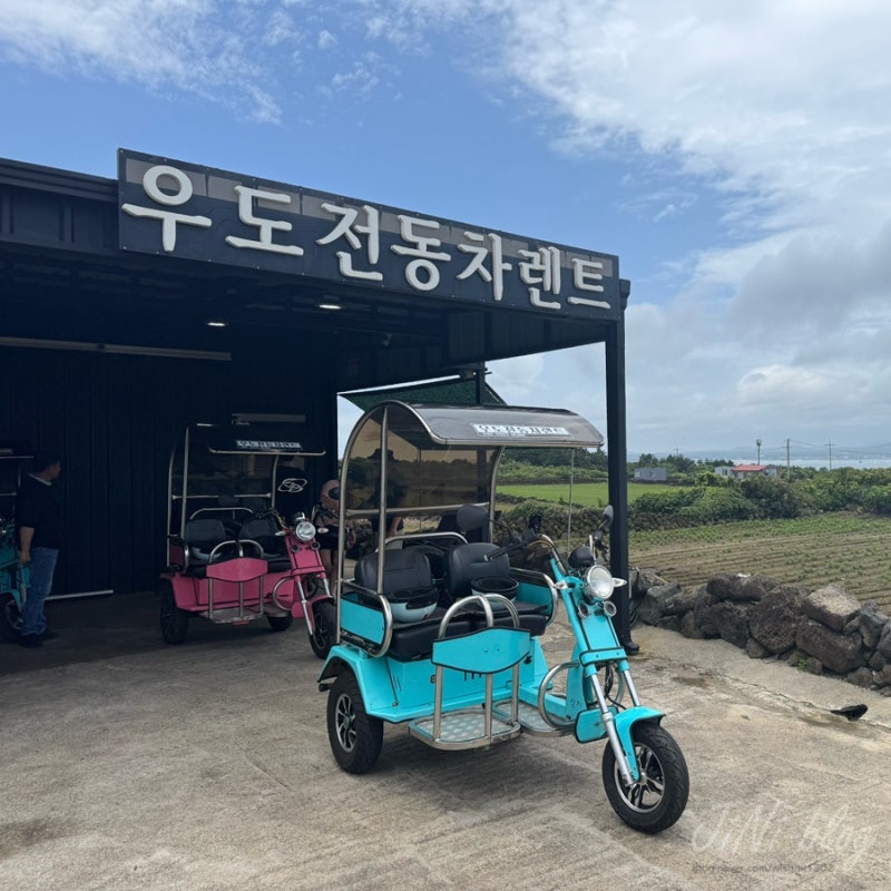 우도 전기차 대여 가격 및 종류 비교(ft. 내돈내산)