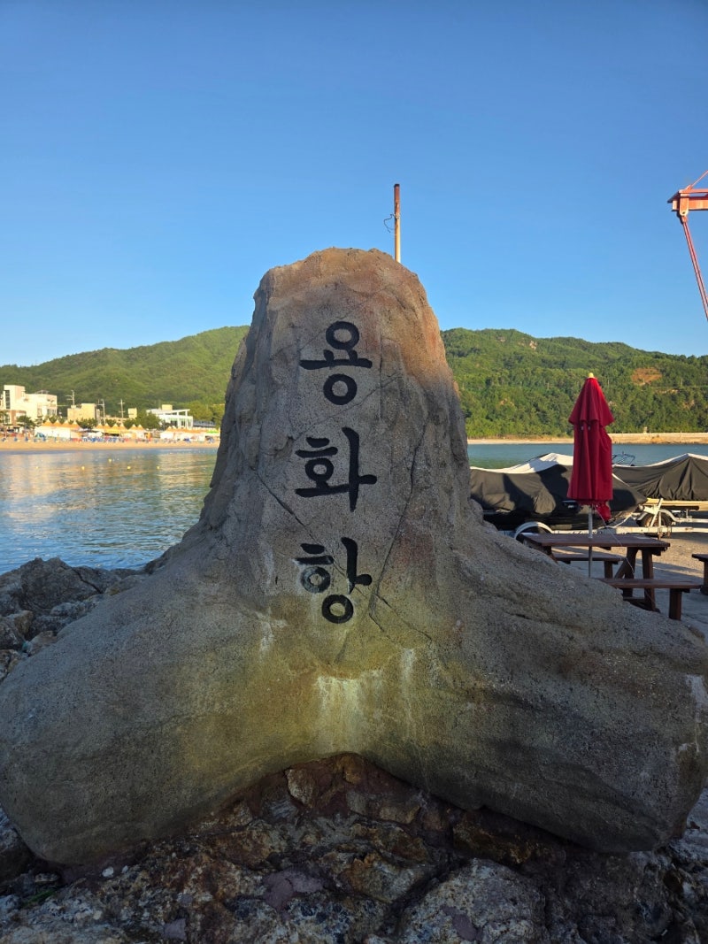 삼척스노쿨링여행(용화해수욕장, 먹거리, 2박3일후기)