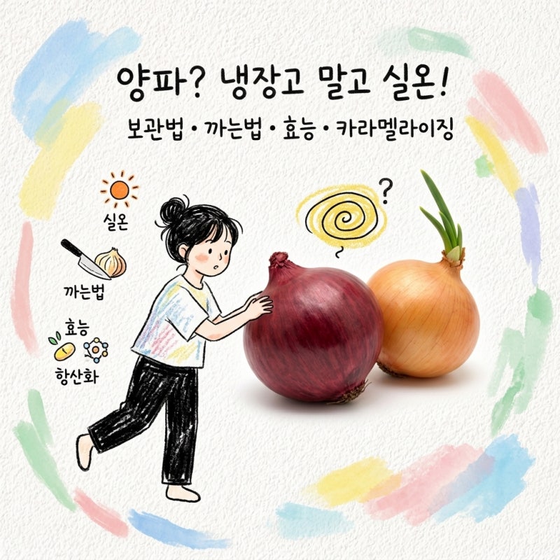 양파는 냉장고가 아니라 실온이 기본, 보관법 까는법과 효능 칼로리 양파즙 카라멜라이징 한....