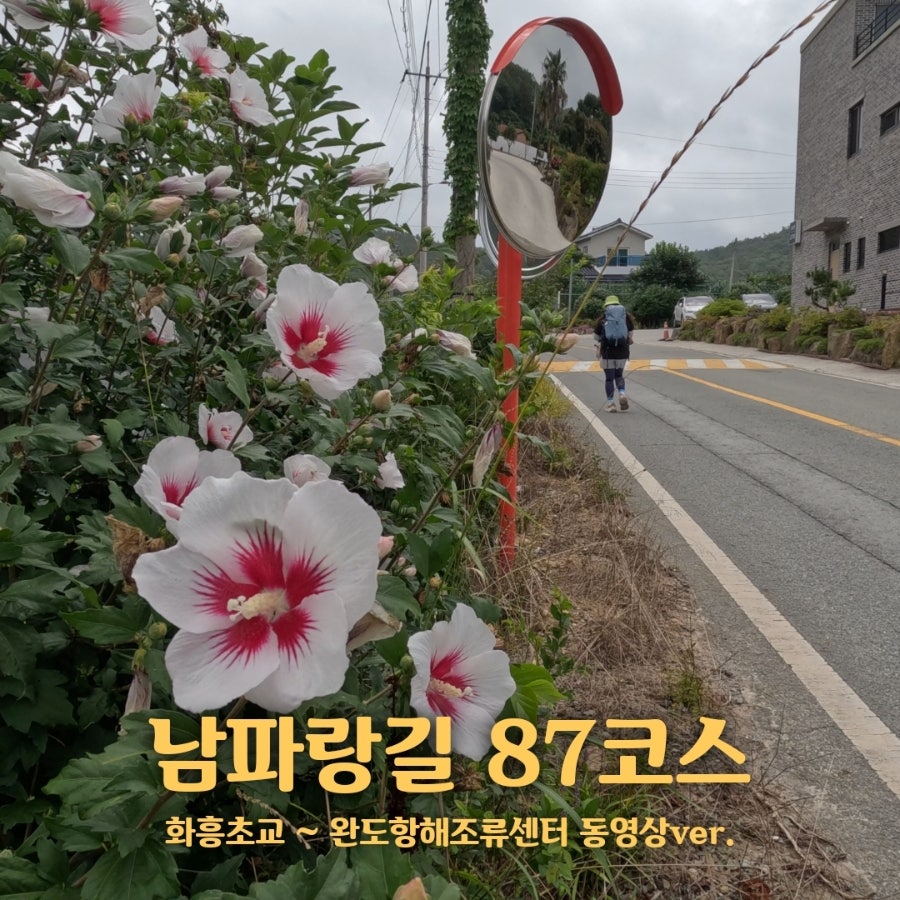 남파랑길 87코스 사진 1