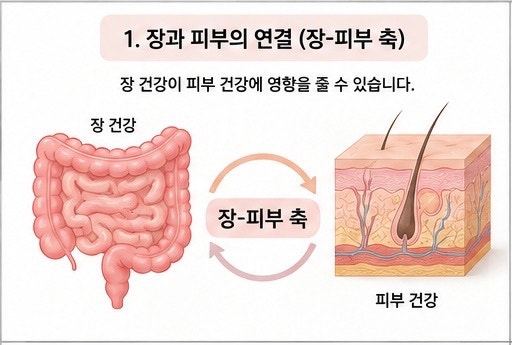 피부영양제 이너뷰티영양제와 유산균, 피부 때문에 먹는다면 꼭 알아야 할 장-피부 연결고리