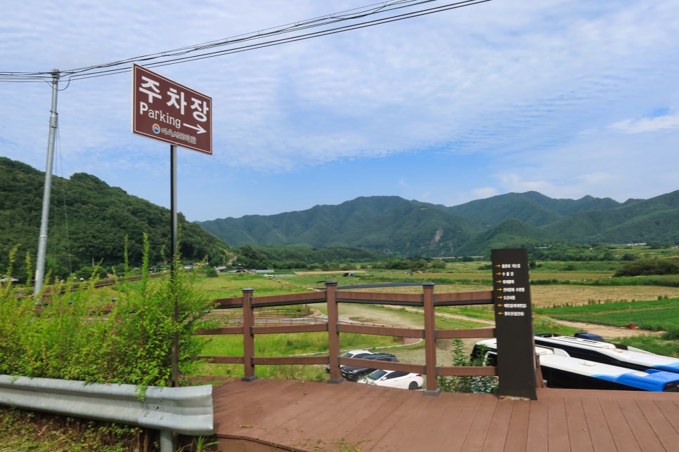청포도 사진 2