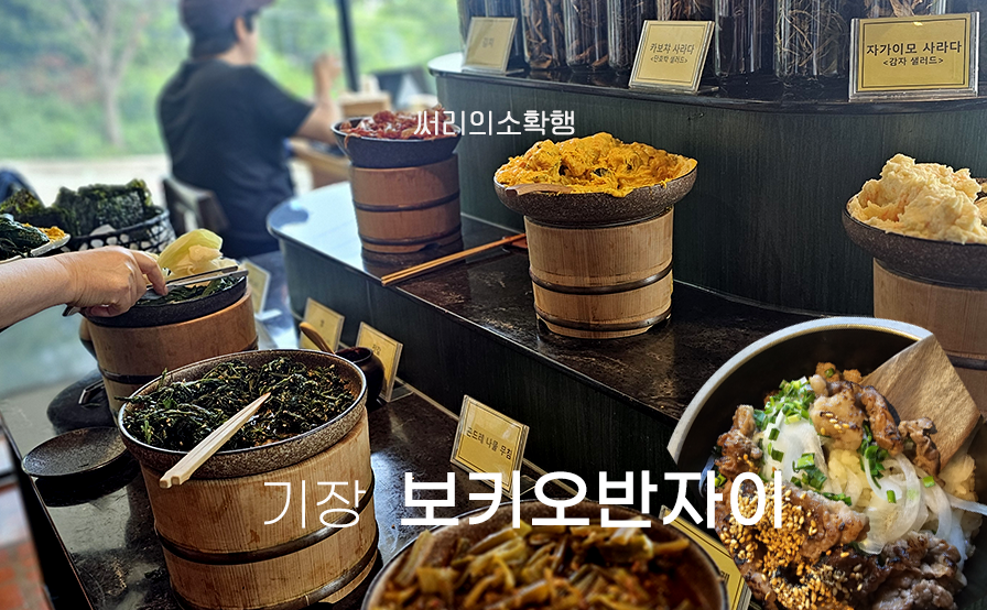 보키오반자이 사진 1
