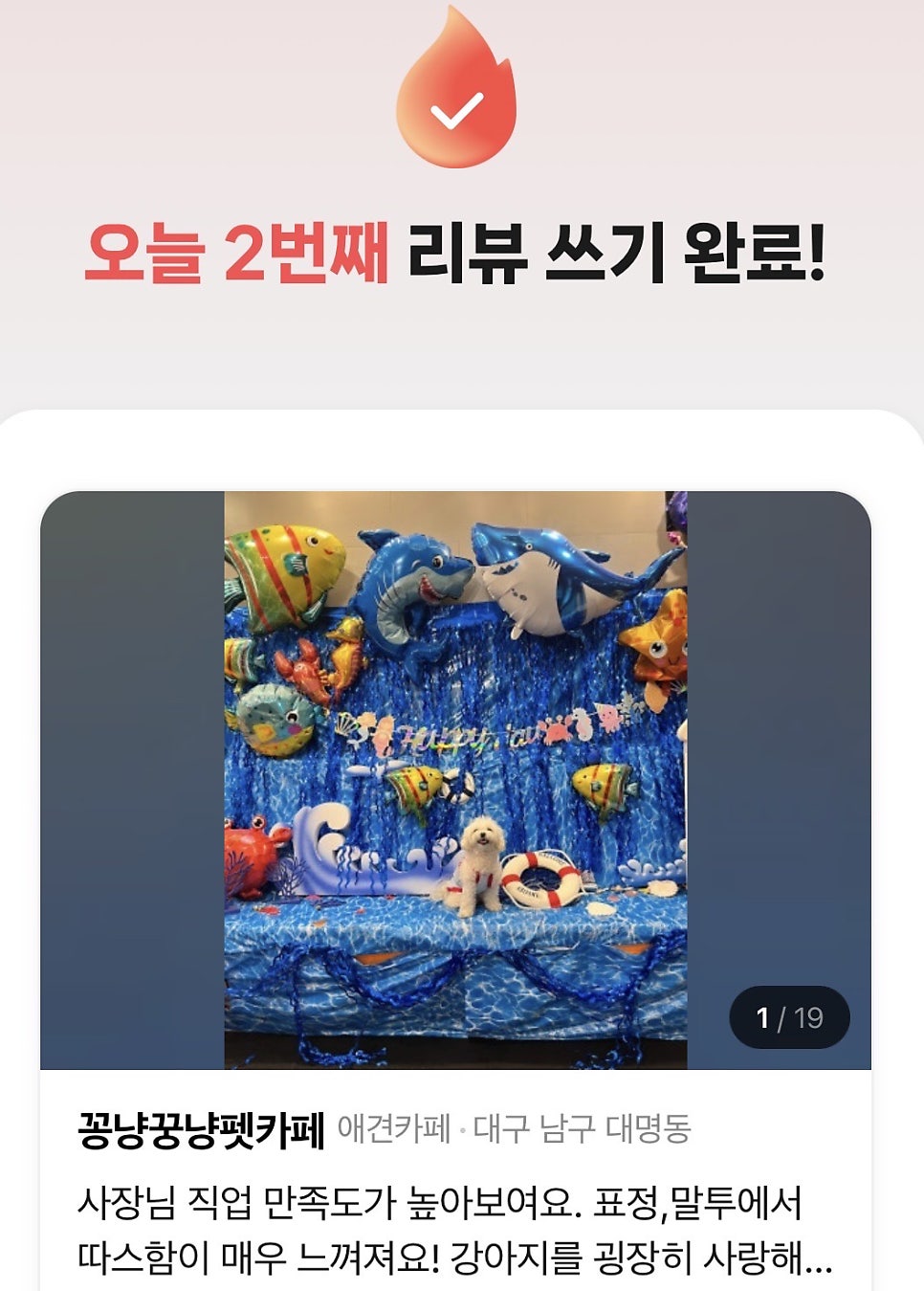 꽁냥꿍냥펫카페 사진 2