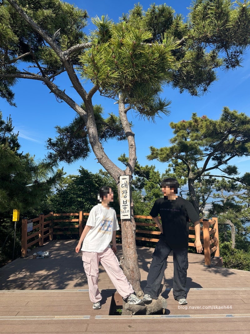 군산 대장봉 등산 포토존 장자도 스카이워크 호떡마을 코스 추천 주차정보