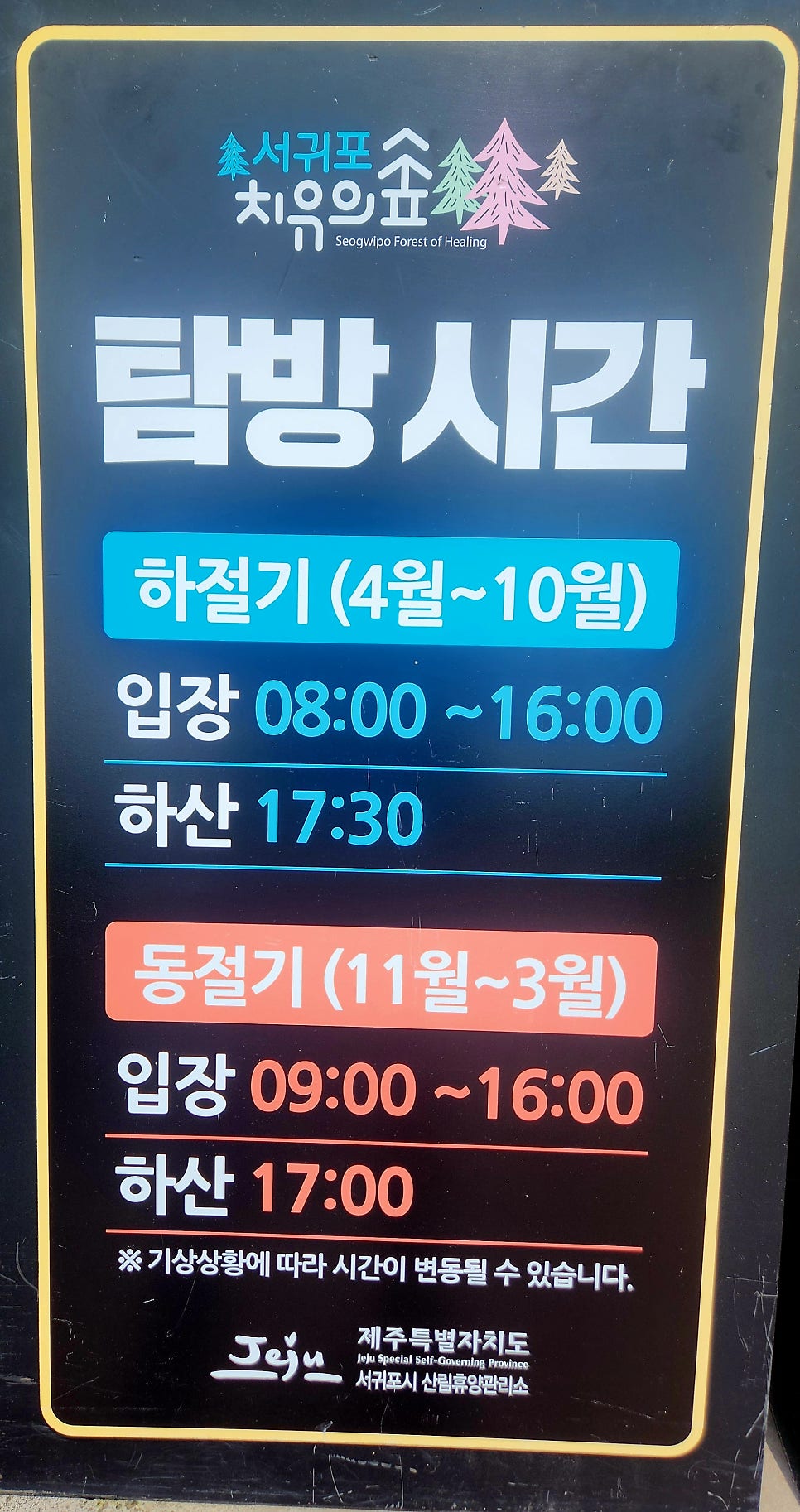 서귀포치유의숲 사진 3