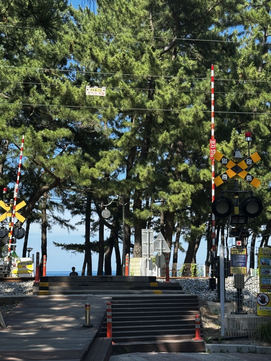 큰기와집 사진 4