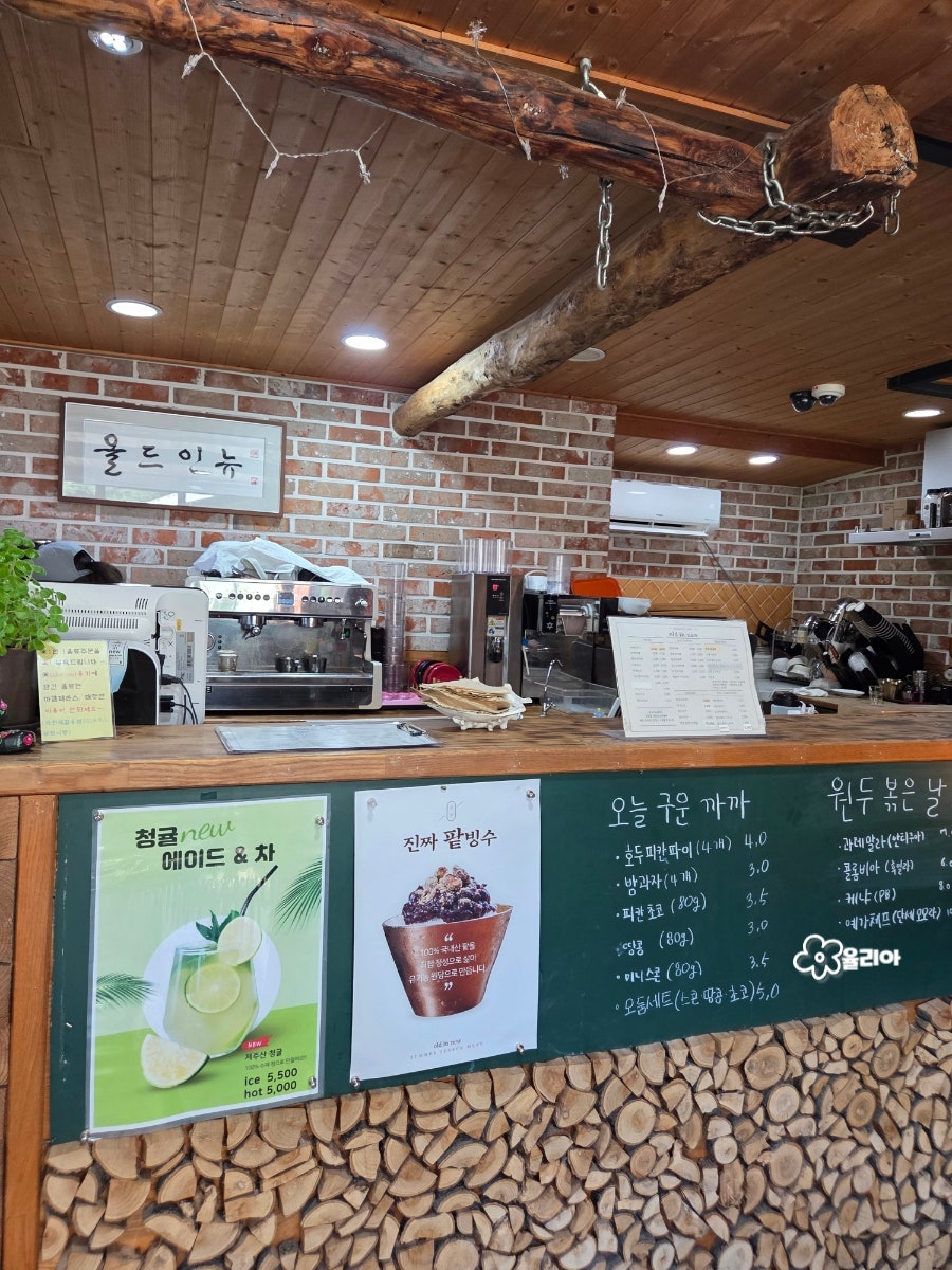 올드인뉴 사진 3