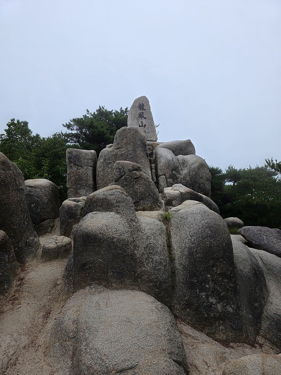 블랙 사진 2
