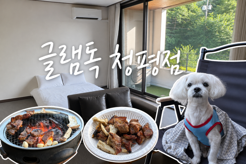 가평 청평 애견동반 숙소 개별바베큐, 가성비 좋은 - 글램독 청평