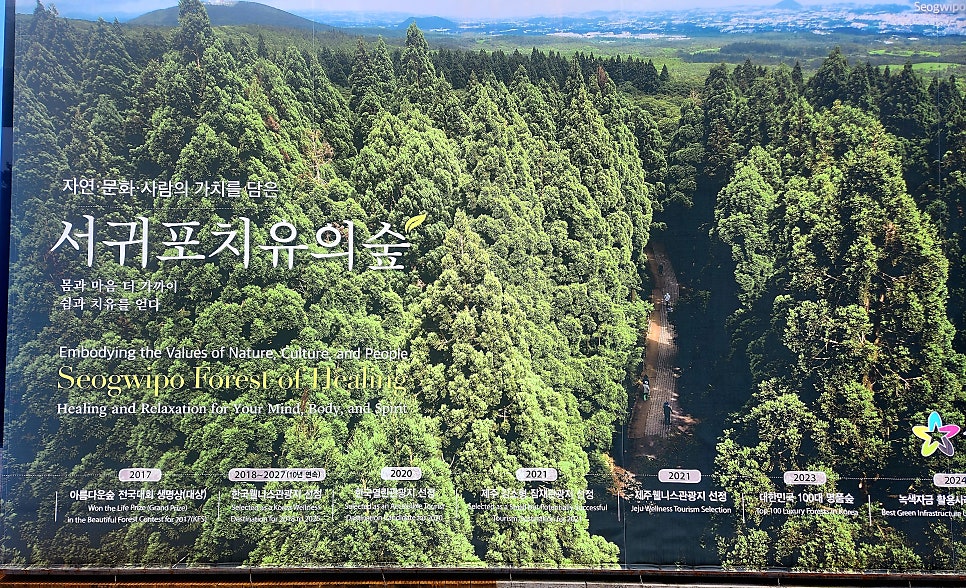 서귀포치유의숲 사진 2