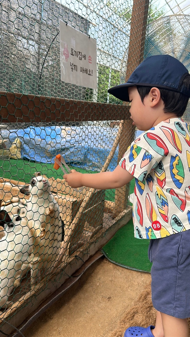일산 동물농장 : 꼬꼬체험관