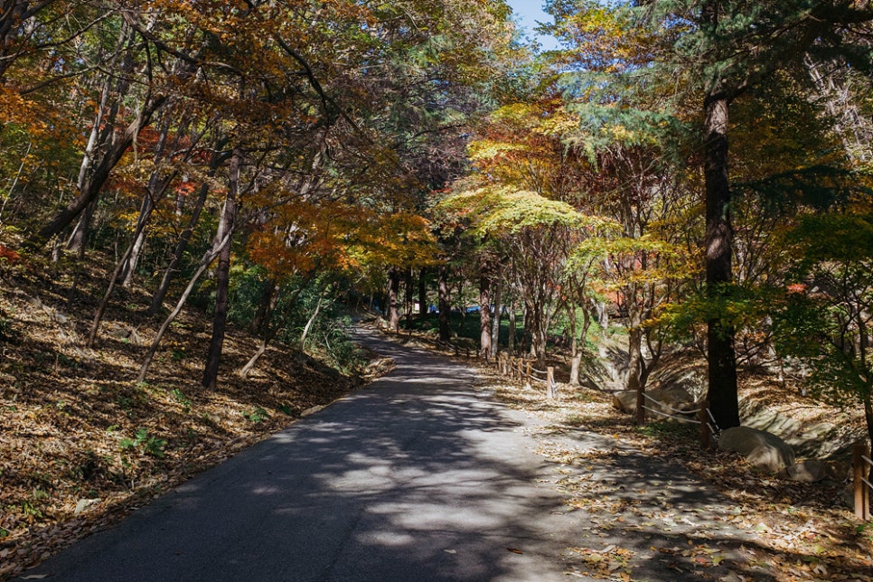 용봉산 사진 3