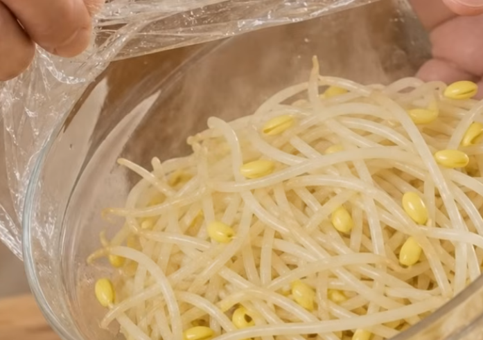 전자렌지 이용한 콩나물무침