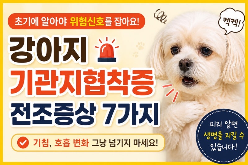 강아지 기관지협착증 전조증상 7가지, 기침이 계속된다면 꼭 확인하세요