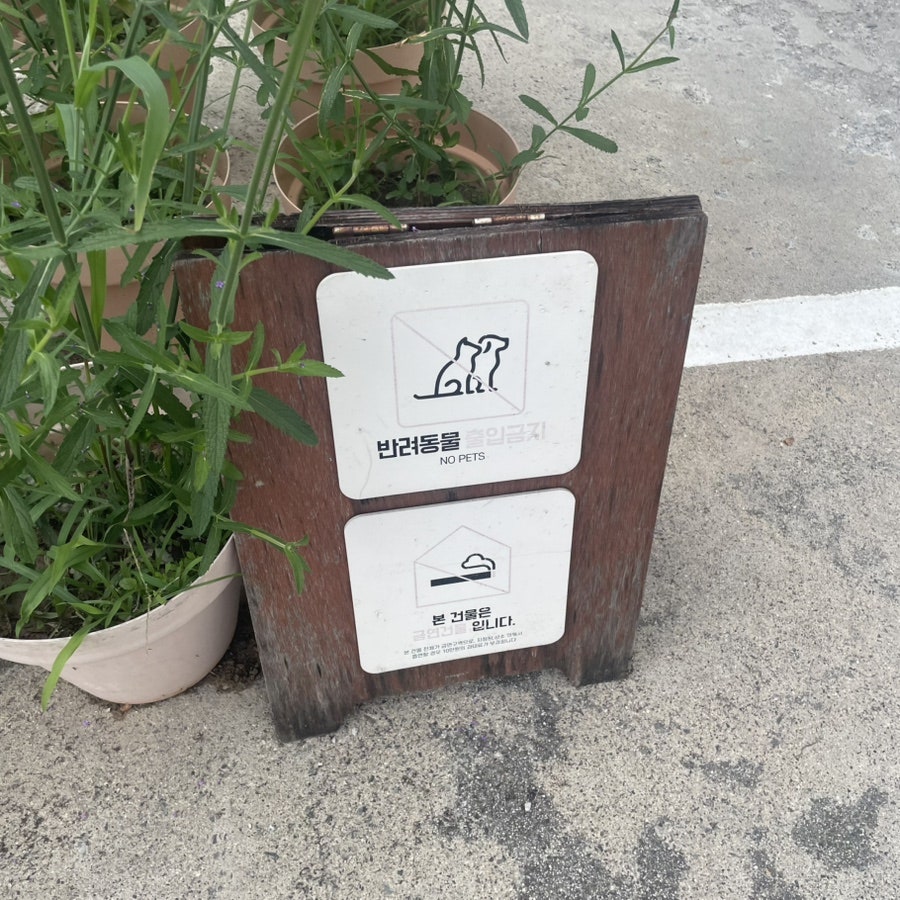 토성마을 사진 4