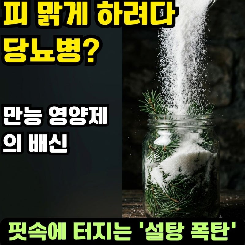 피 맑게 하려다 당뇨병 걸린다! 솔잎효소가 핏속에 '설탕 폭탄'을 터뜨리는 최악의 체질