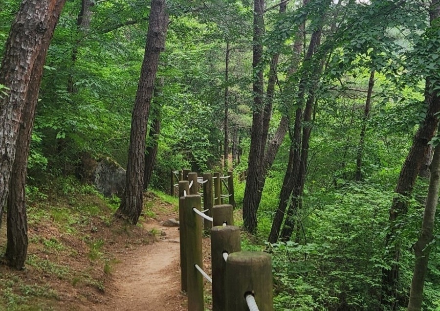 병곡산장 사진 5