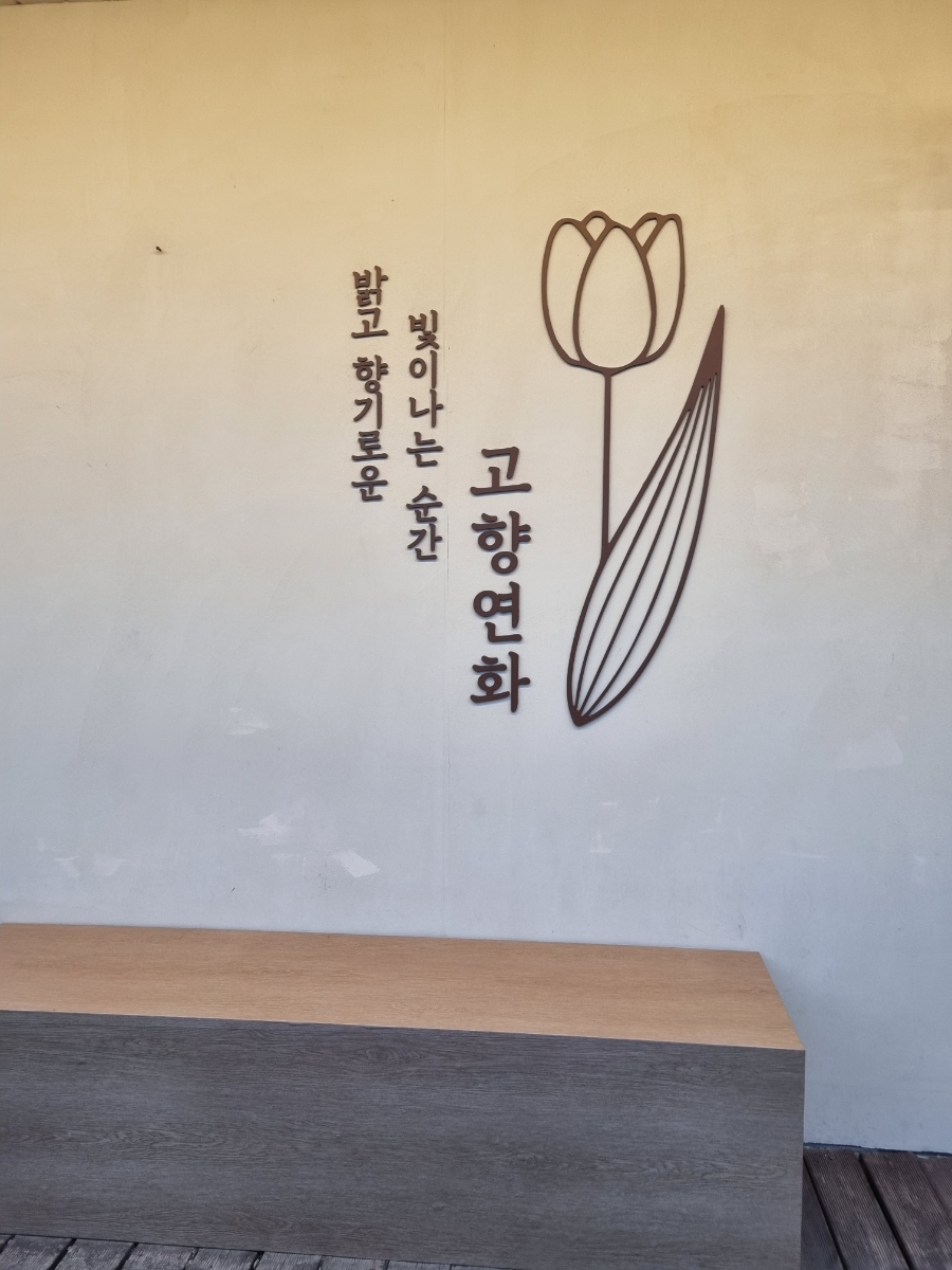 고향연화 사진 2