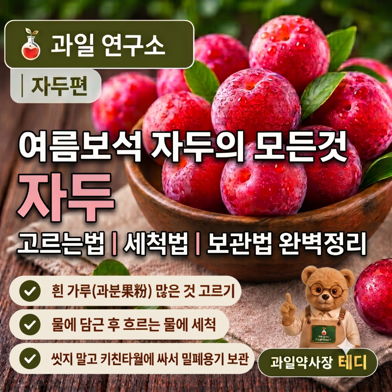 자두 제철은 언제? 맛있는 자두 고르는 법·세척·보관법 총정리