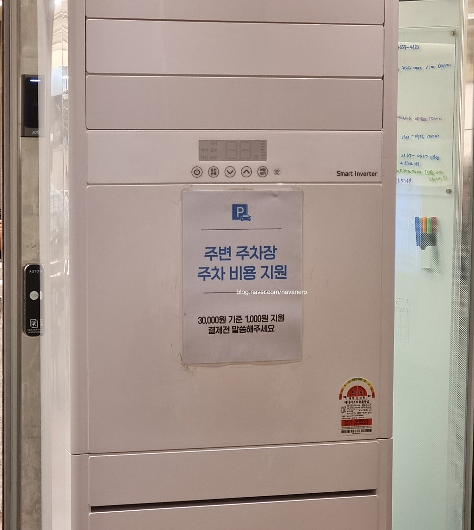부산에뜬고등어 사진 1