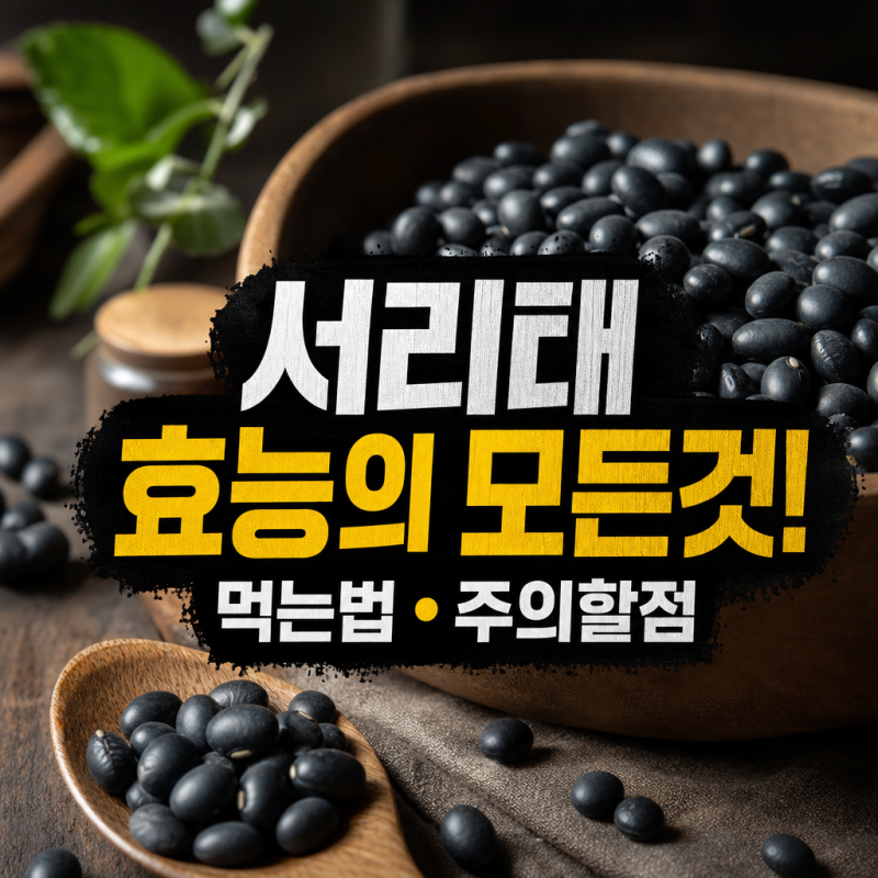 건강 트렌드 서리태콩 효능 영양 성분, 먹는법, 주의할 점 정리