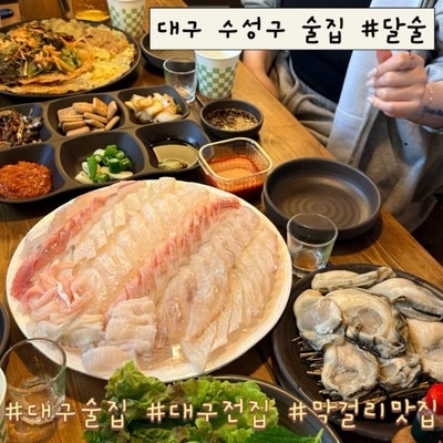 달술 사진 1