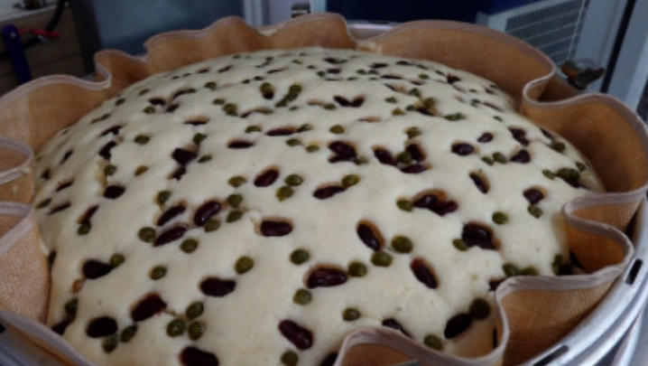 극한직업 옥수수술빵 빵집 위치 중앙시장 맛집 위치 속초 술빵 어디 옥수수 열전