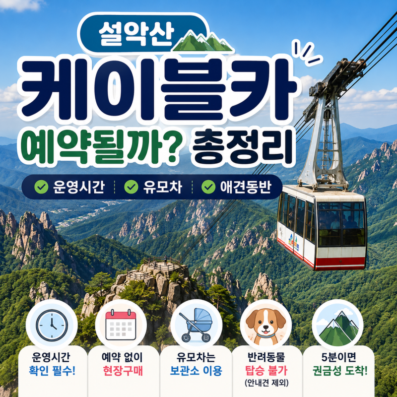 속초 가볼만한 곳설악산 케이블카 예약될까? 운영시간·유모차·애견동반 총정리