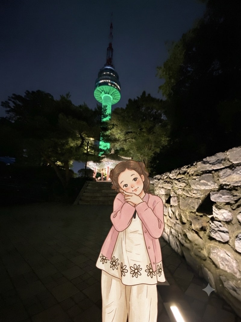 걸어서 올라간 서울 남산타워 끝없는 계단 | 야간 산행 그리고 야경