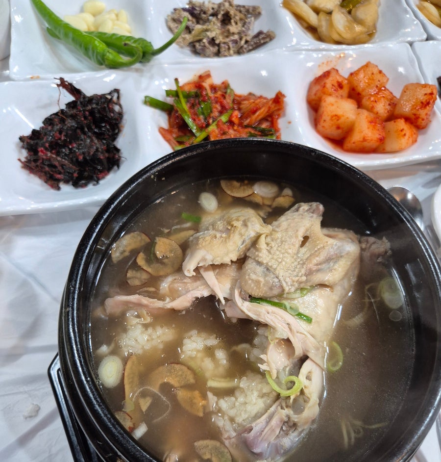 수빈산삼본가 사진 5