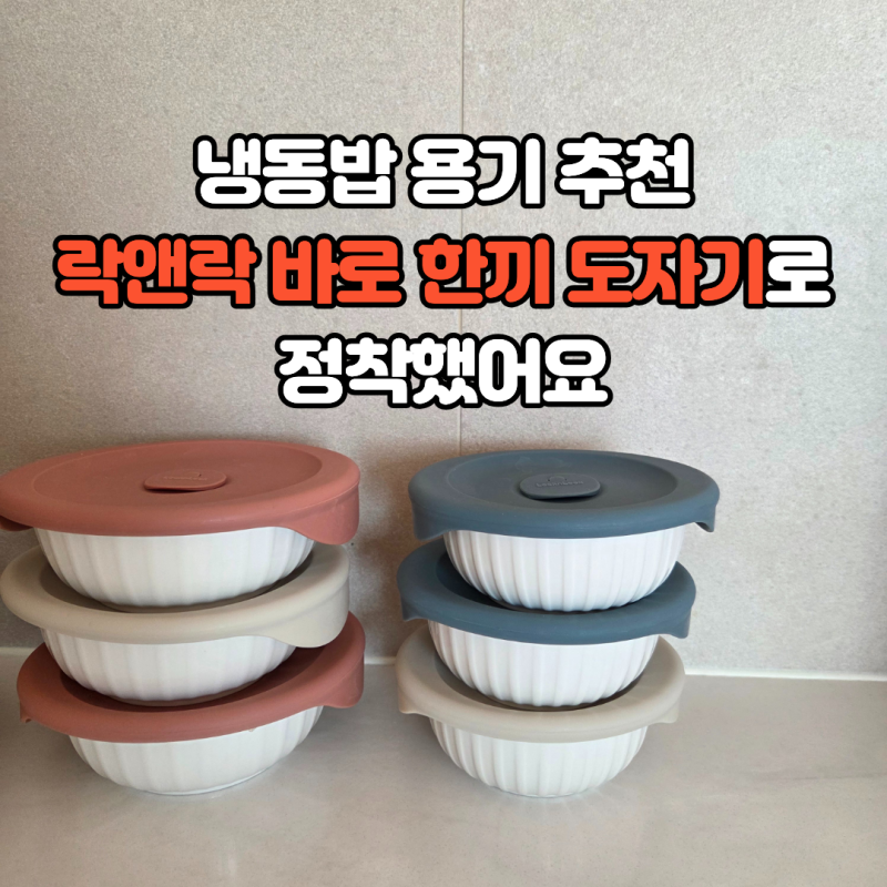 락앤락 바로 한 끼 도자기 냉동밥용기 사용 후기, 플라스틱 대신 정착한 이유