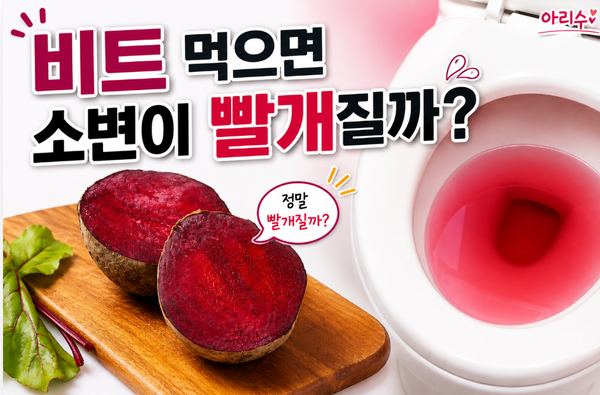 비트 먹으면 소변이 빨개질까? 효능과 비트 물김치 만드는 법