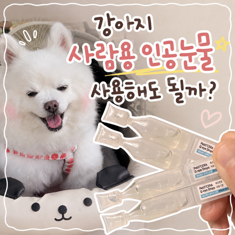 강아지 인공눈물 사람이 쓰는 거 써도 될까?