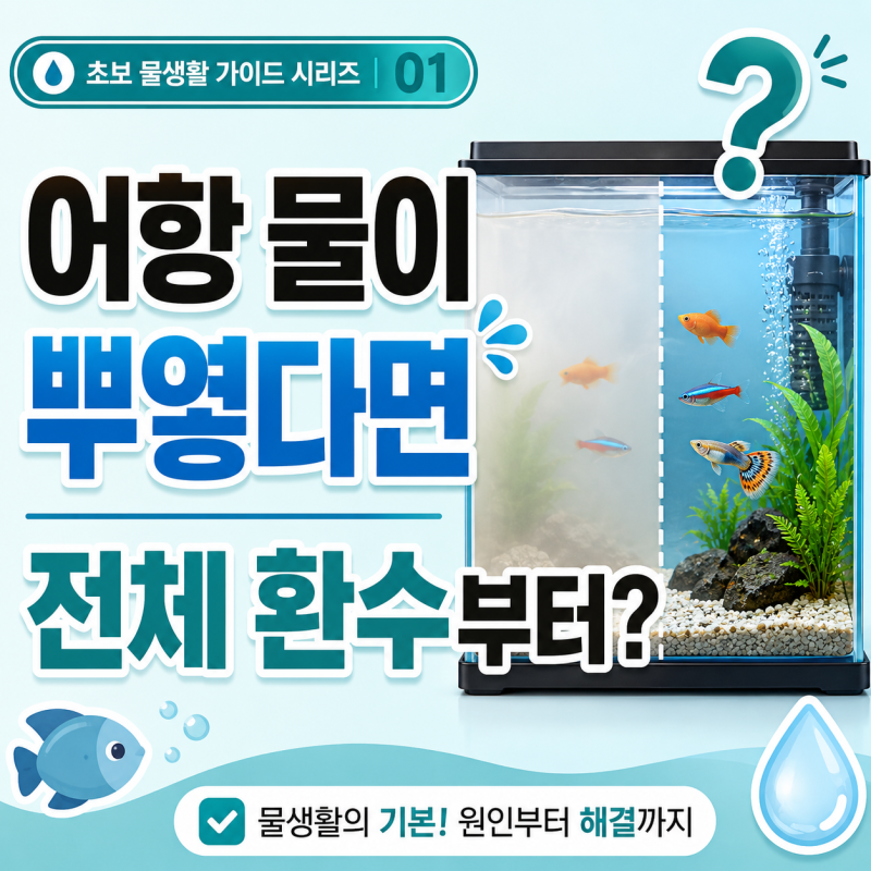 어항 물이 갑자기 뿌옇게 변한 이유, 백탁 현상 환수 전에 확인할 것