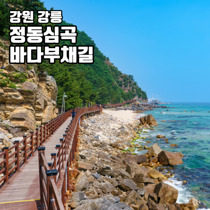 강릉 정동심곡 바다부채길 해안단구 트레깅 명소 입장료 주차